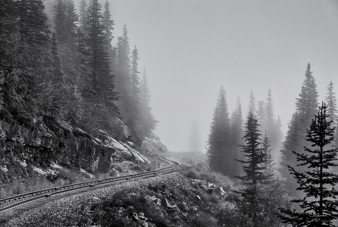 Tren de niebla
