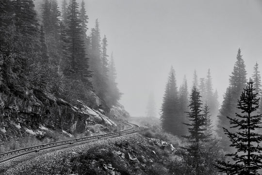 Tren de niebla