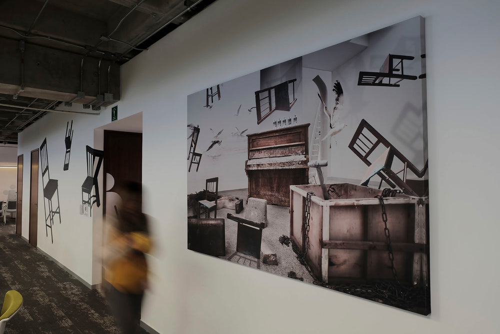 Fly
